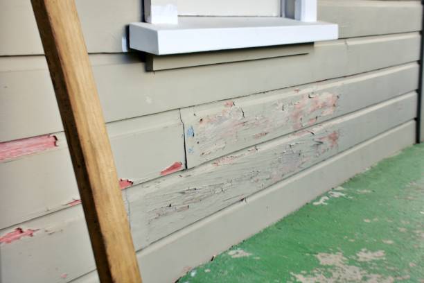 Best Steel Siding Installation  in USA